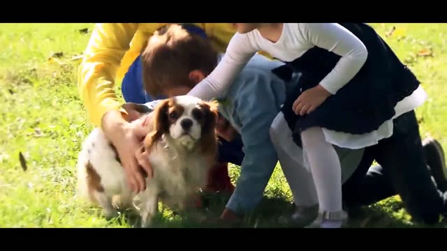 Čisté ručičky
